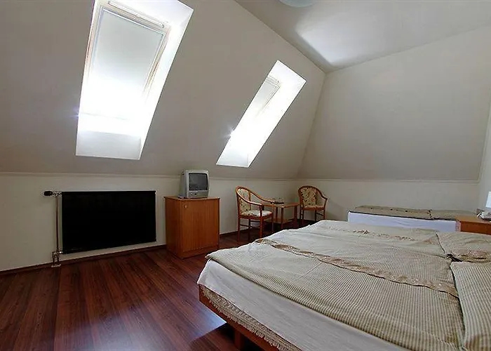 Hotel Diana 3*